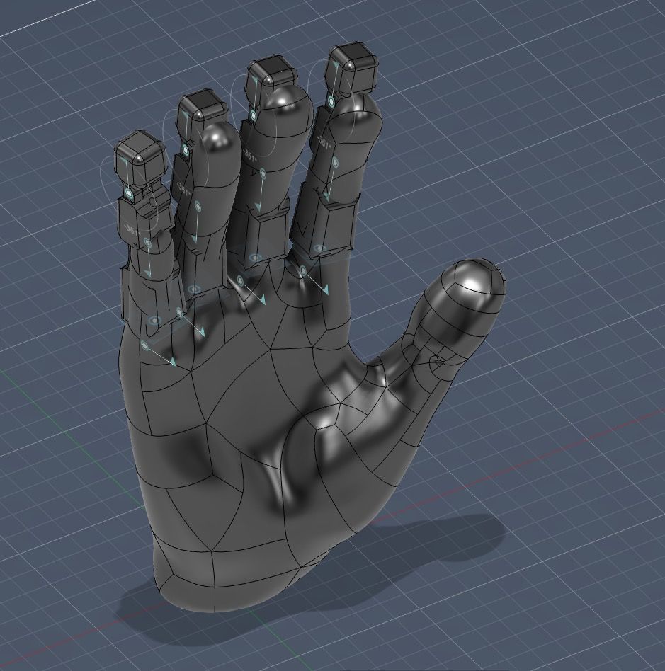 CAD hand sized from a real human-hand mesh