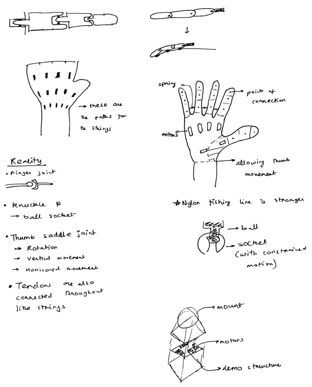 Concept sketches of finger joints, motion and tendon routing
