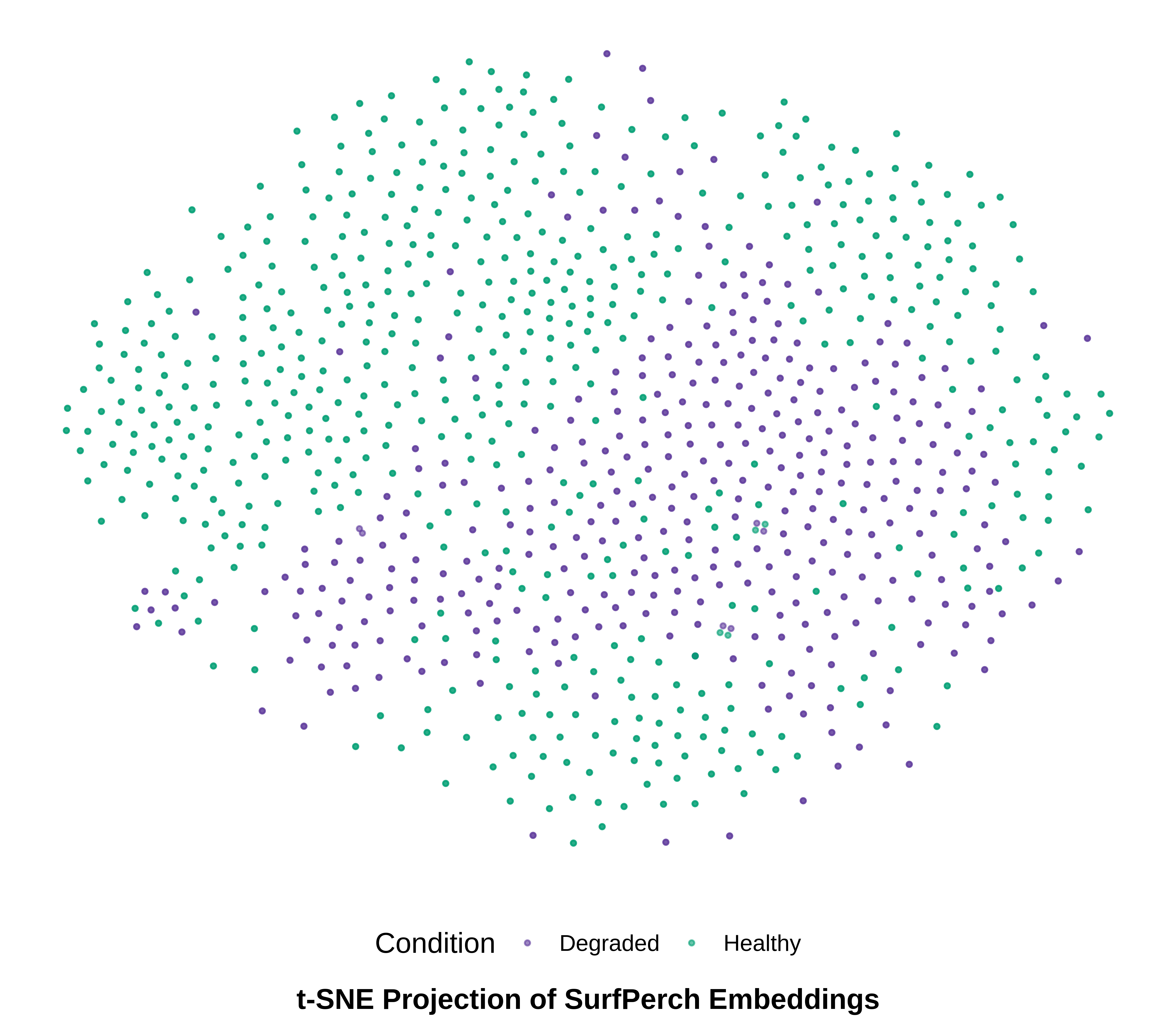 t-SNE projection of 7,973 audio segments
